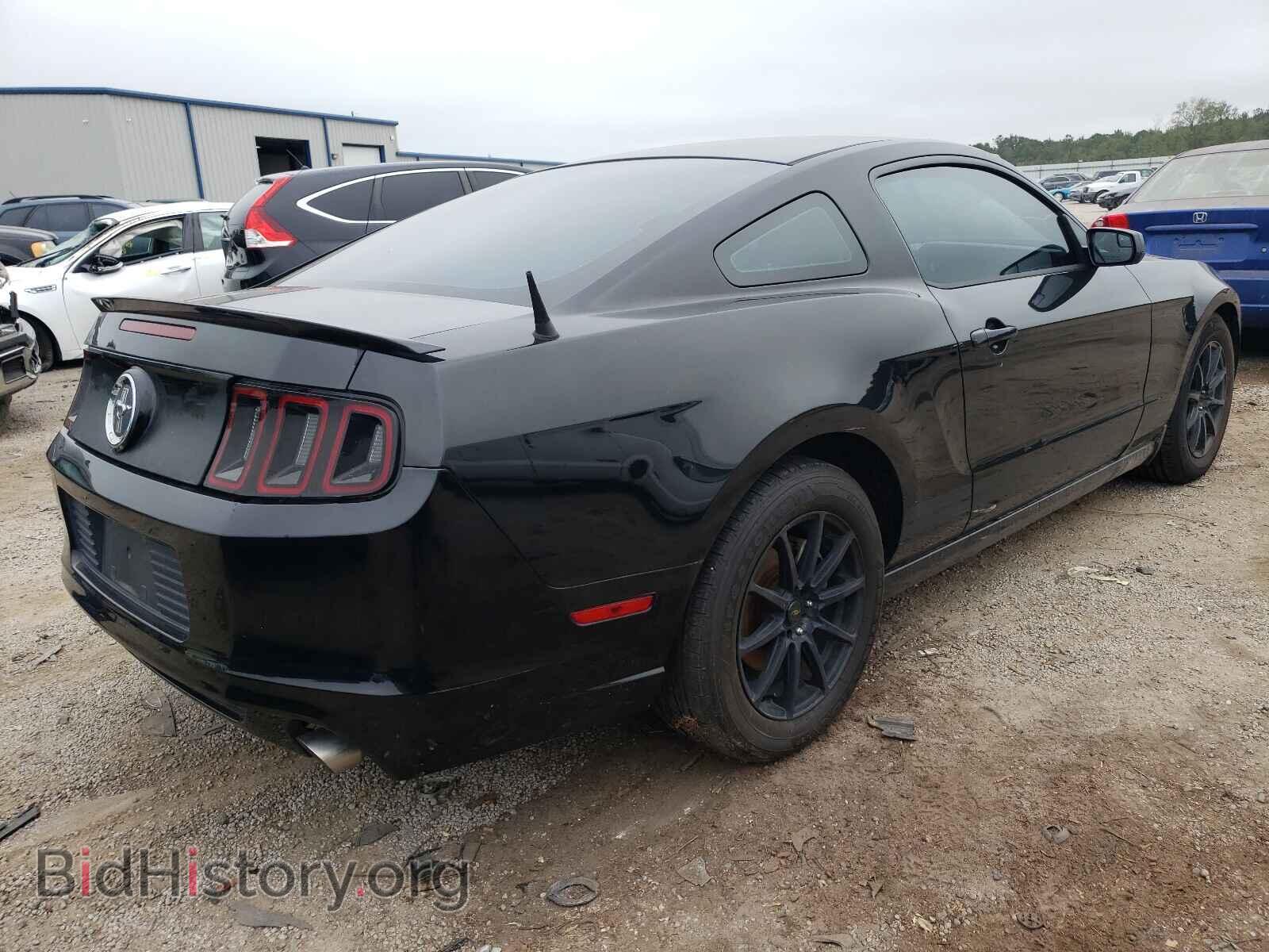 2013 FORD MUSTANG - VIN: 1ZVBP8AM5D5270576 - Фото 4