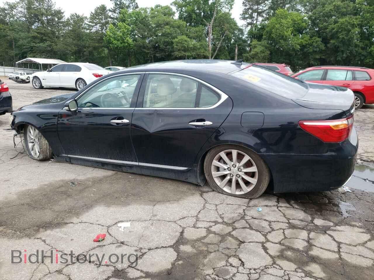 2010 LEXUS LS460 - VIN: JTHCL5EF1A5006018 - Фото 2