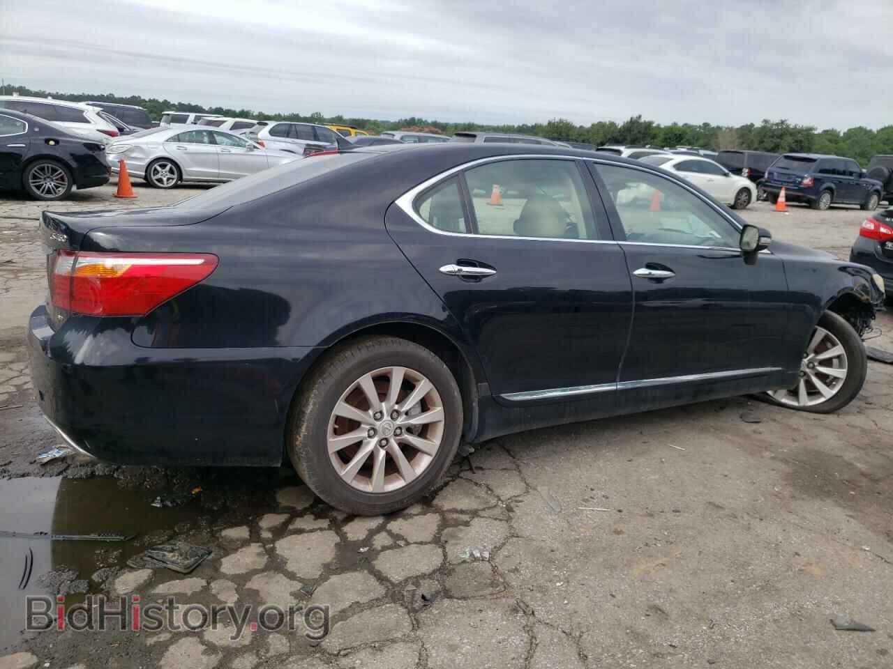 2010 LEXUS LS460 - VIN: JTHCL5EF1A5006018 - Фото 3