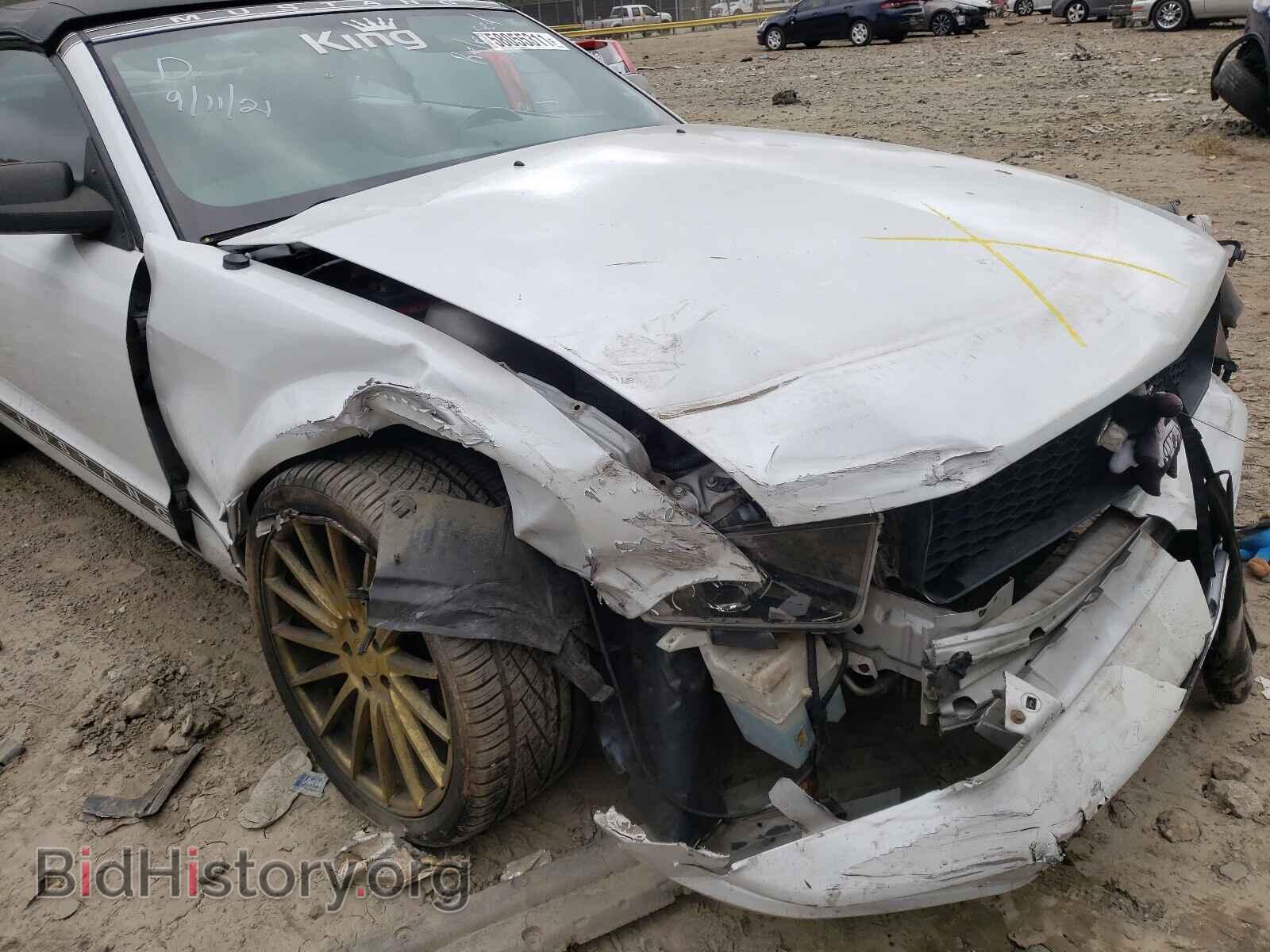 2006 FORD MUSTANG - VIN: 1ZVFT84N265235174 - Фото 9