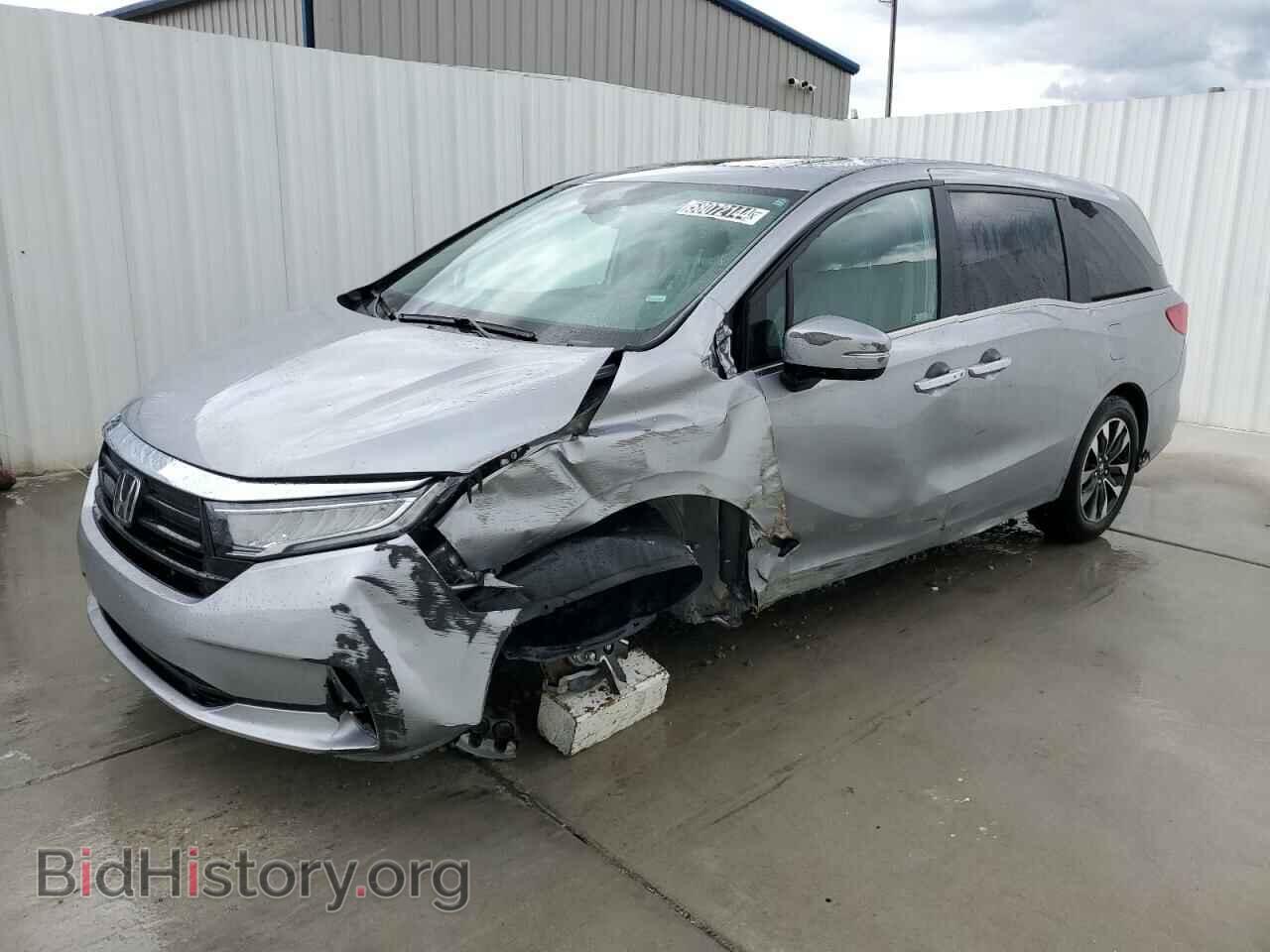 Фотография 5FNRL6H69RB046645 - HONDA All Models 2024
