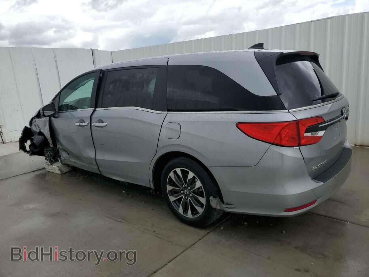 2024 HONDA All Models - VIN: 5FNRL6H69RB046645 - Фото 2