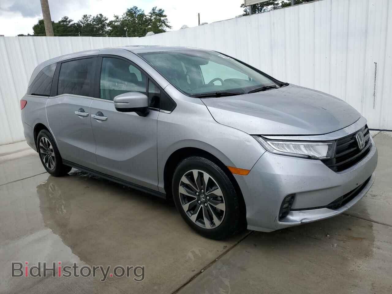 2024 HONDA All Models - VIN: 5FNRL6H69RB046645 - Фото 4