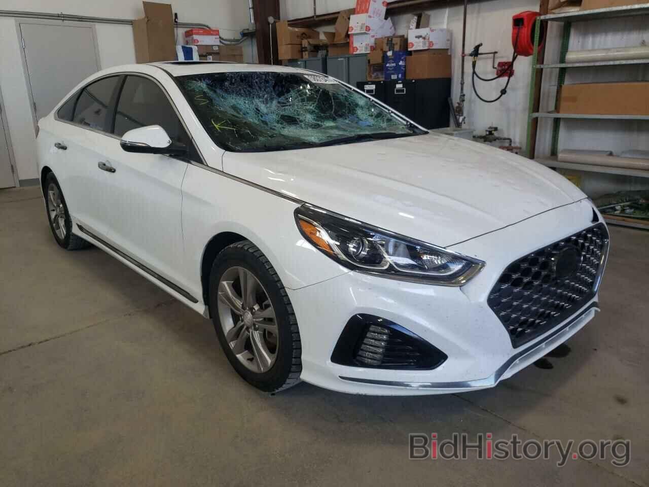 Photo 5NPE34AF8KH737623 - HYUNDAI SONATA 2019