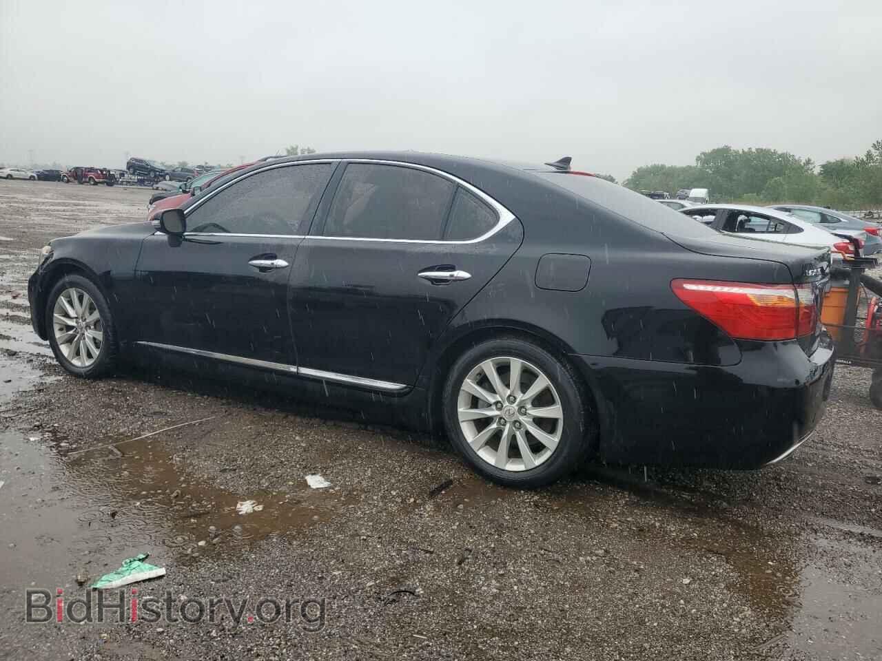 2010 LEXUS LS460 - VIN: JTHCL5EF3A5006103 - Фото 2