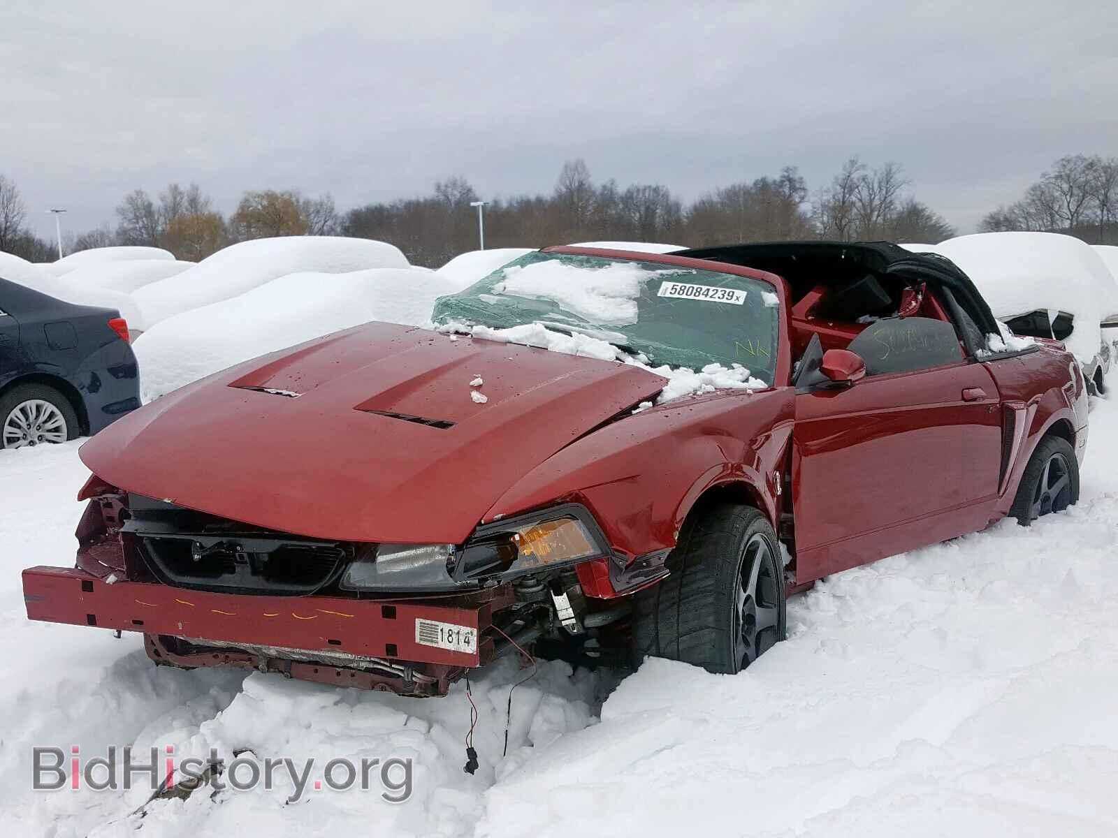 2003 FORD MUSTANG - VIN: 1FAFP49Y93F404511 - Фото 2