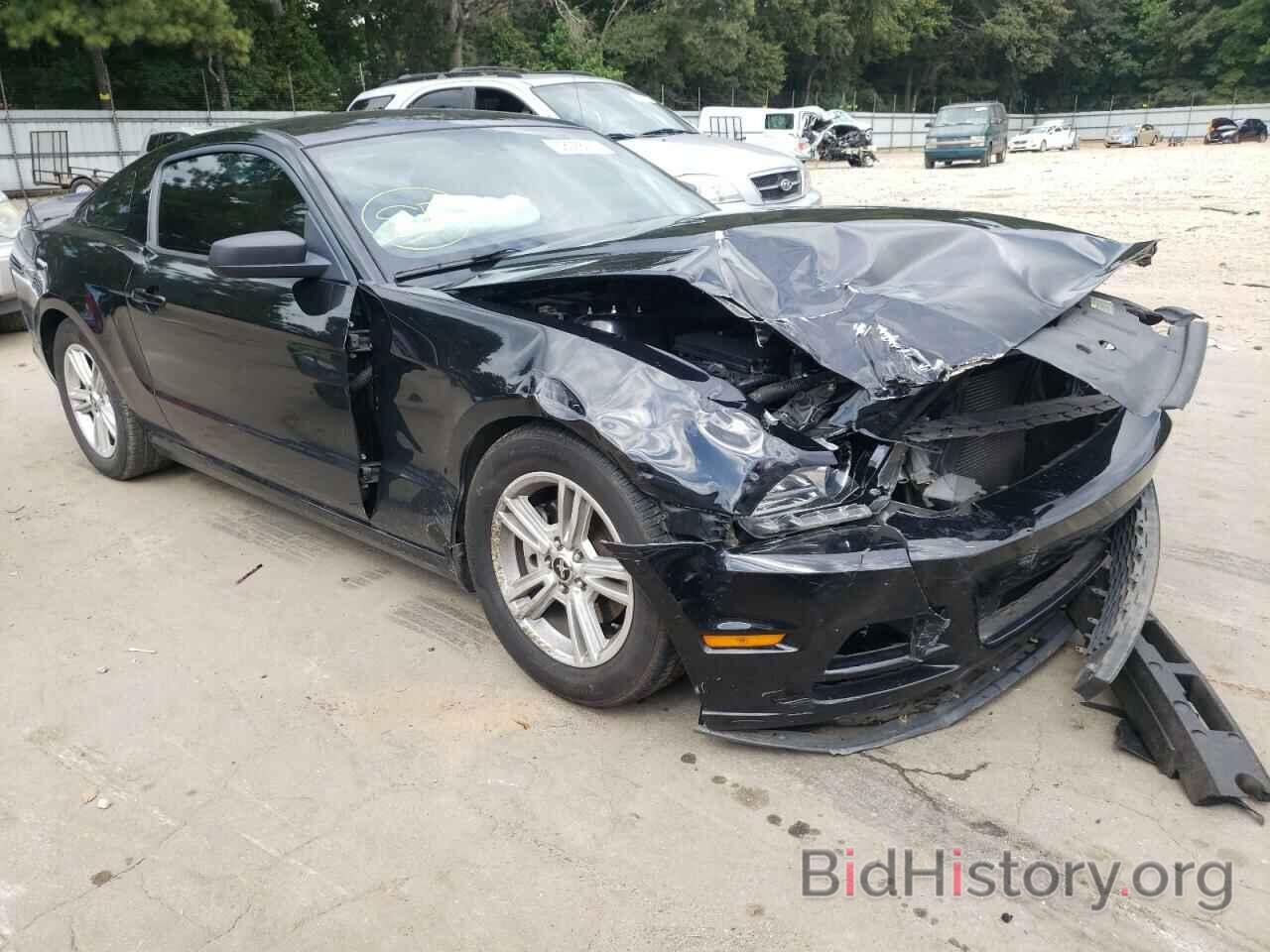 Photo 1ZVBP8AM2E5290172 - FORD MUSTANG 2014