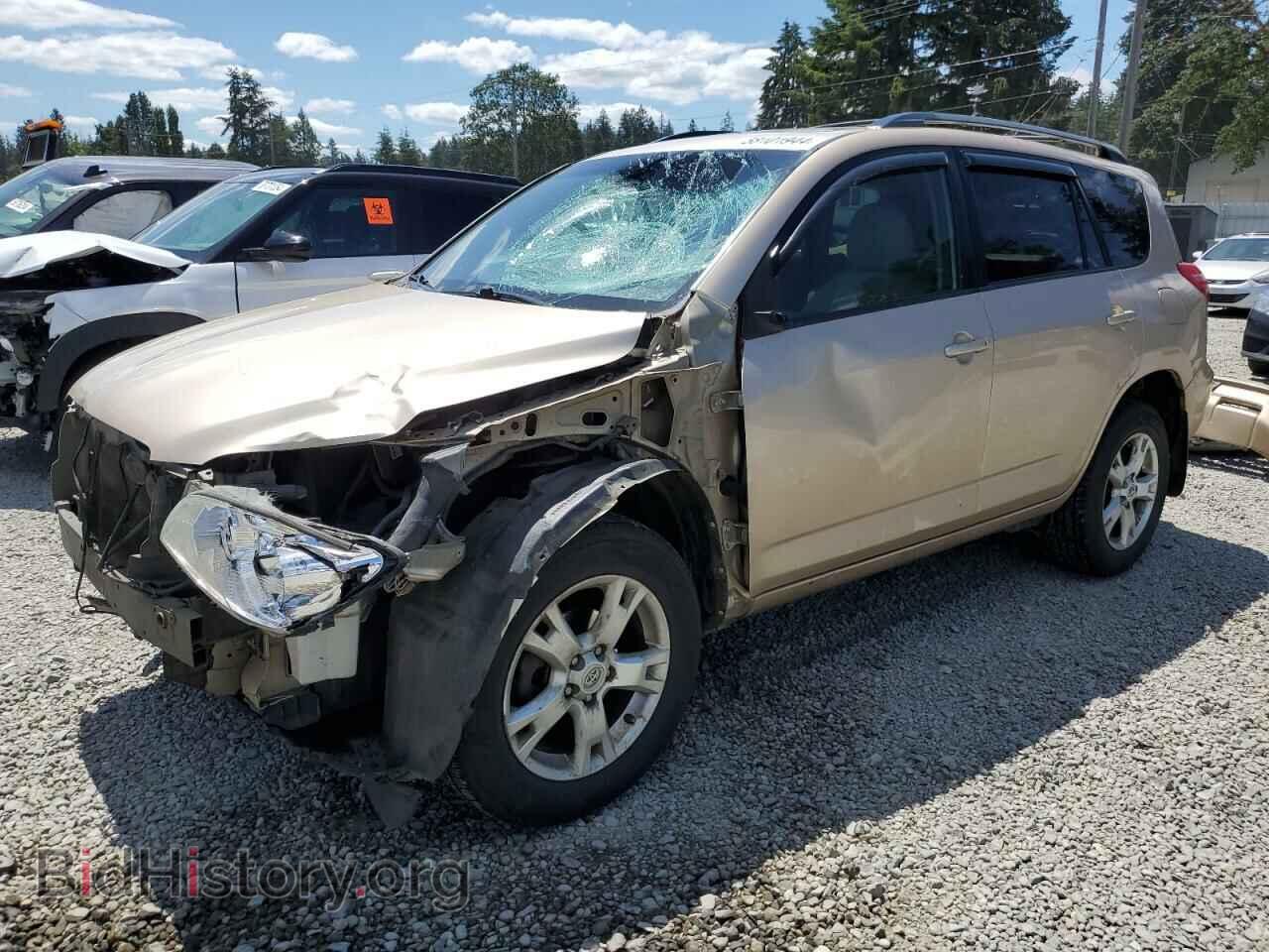 Фотография 2T3BF4DV5CW221355 - TOYOTA RAV4 2012