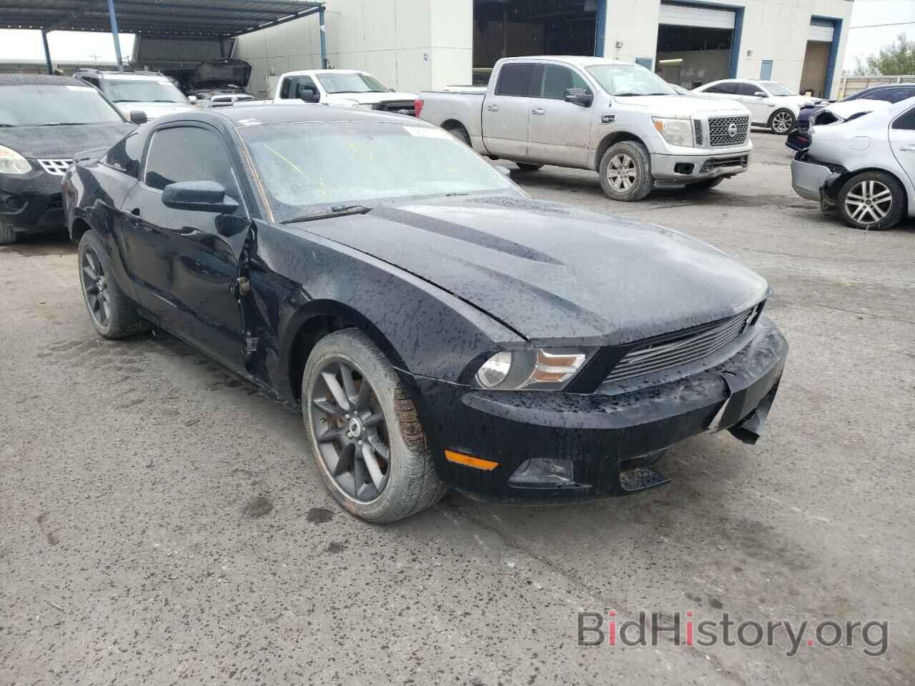 Photo 1ZVBP8AM4C5254108 - FORD MUSTANG 2012