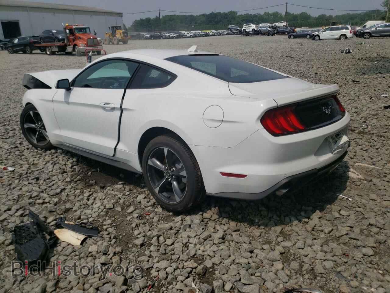 2023 FORD ALL Models - VIN: 1FA6P8TH8P5111923 - Фото 2