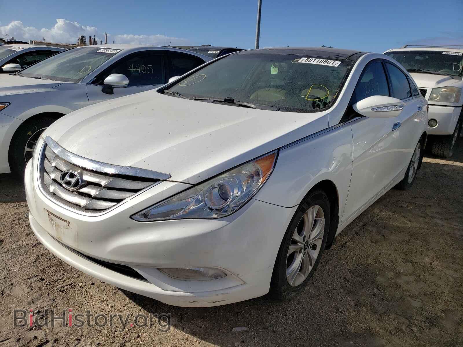 2013 HYUNDAI SONATA - VIN: 5NPEC4AC1DH574564 - Фото 2