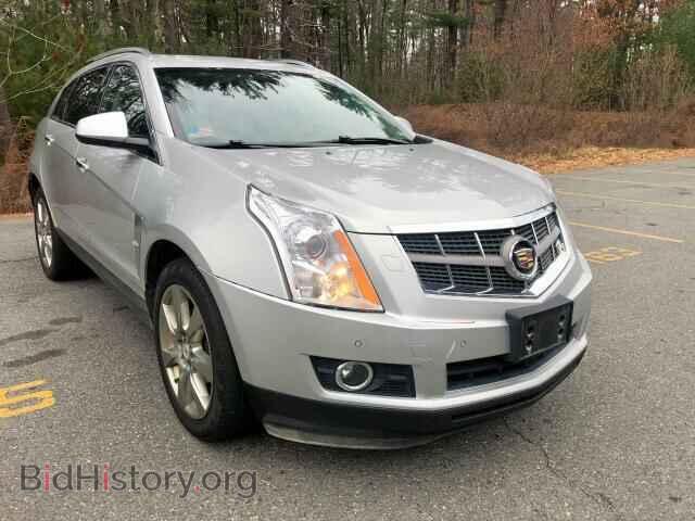 2010 CADILLAC SRX PERFOR - VIN: 3GYFNEEY1AS540825 - Фото 2