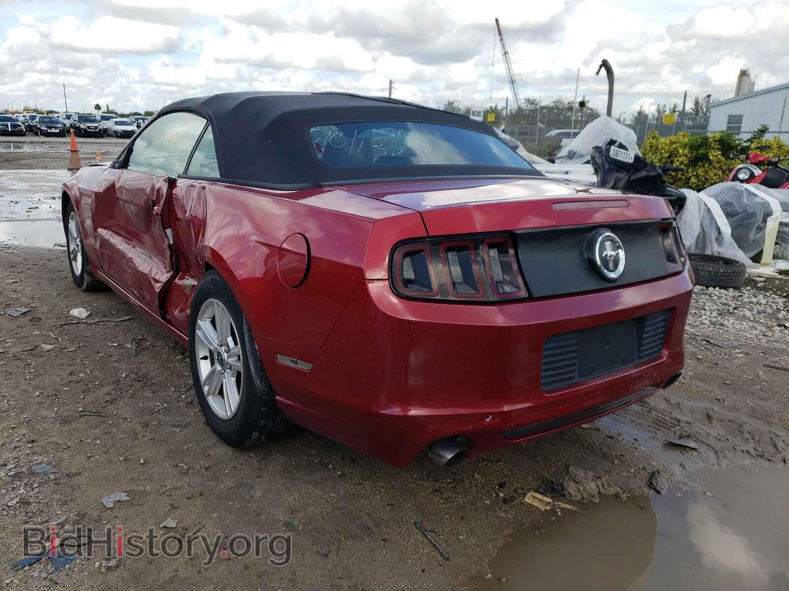 2013 FORD MUSTANG - VIN: 1ZVBP8EM9D5204025 - Фото 3