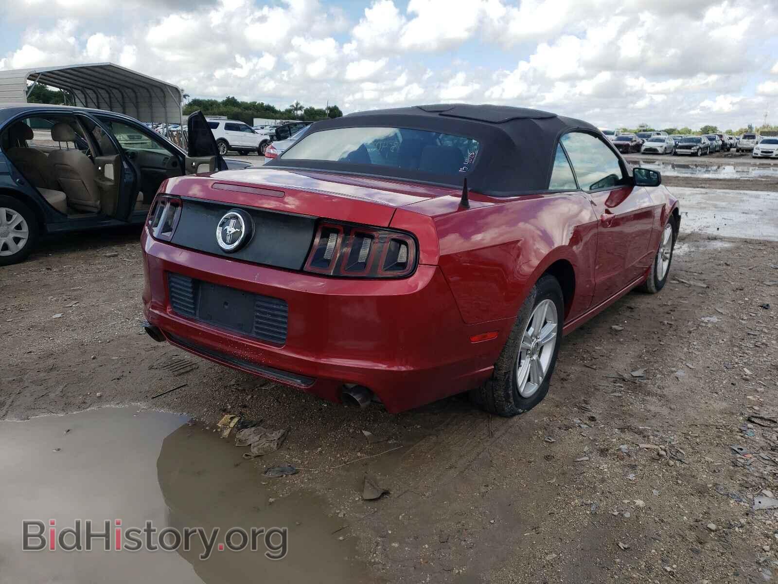 2013 FORD MUSTANG - VIN: 1ZVBP8EM9D5204025 - Фото 4