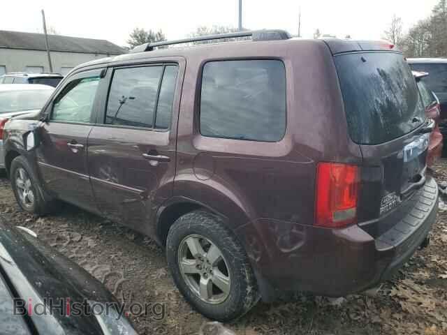 2010 HONDA PILOT - VIN: 5FNYF4H50AB002911 - Фото 2