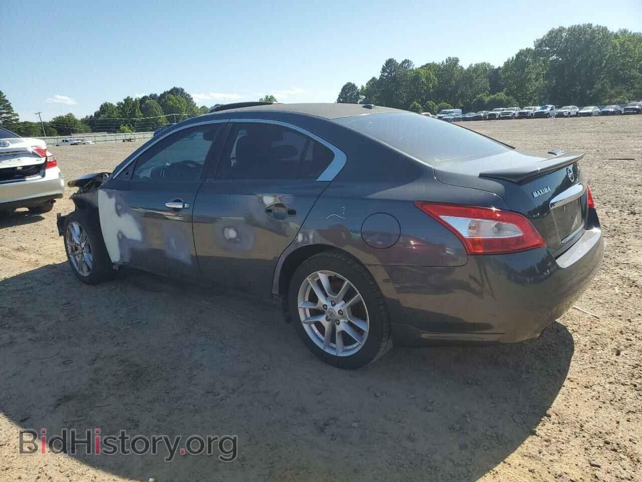 2009 NISSAN MAXIMA - VIN: 1N4AA51E59C818091 - Фото 2