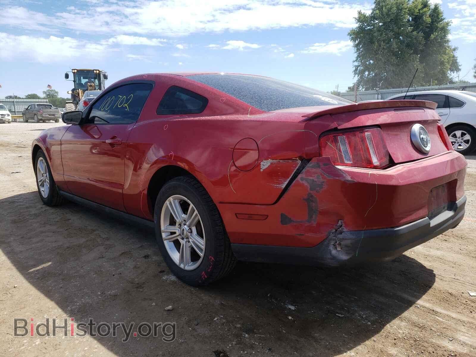 2010 FORD MUSTANG - VIN: 1ZVBP8AN4A5131754 - Фото 3