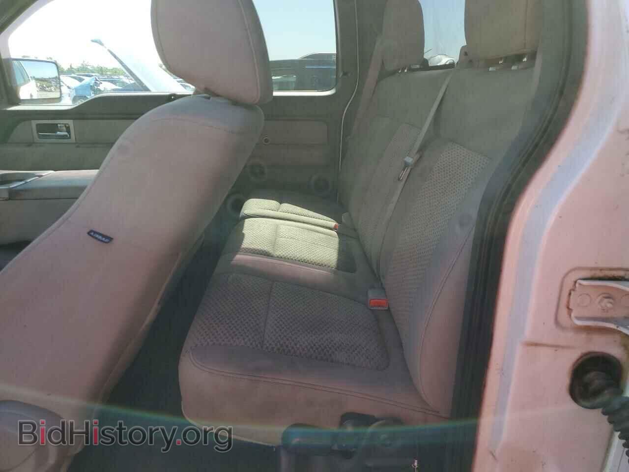 2010 FORD F-150 - VIN: 1FTFX1EV1AKE56921 - Фото 10