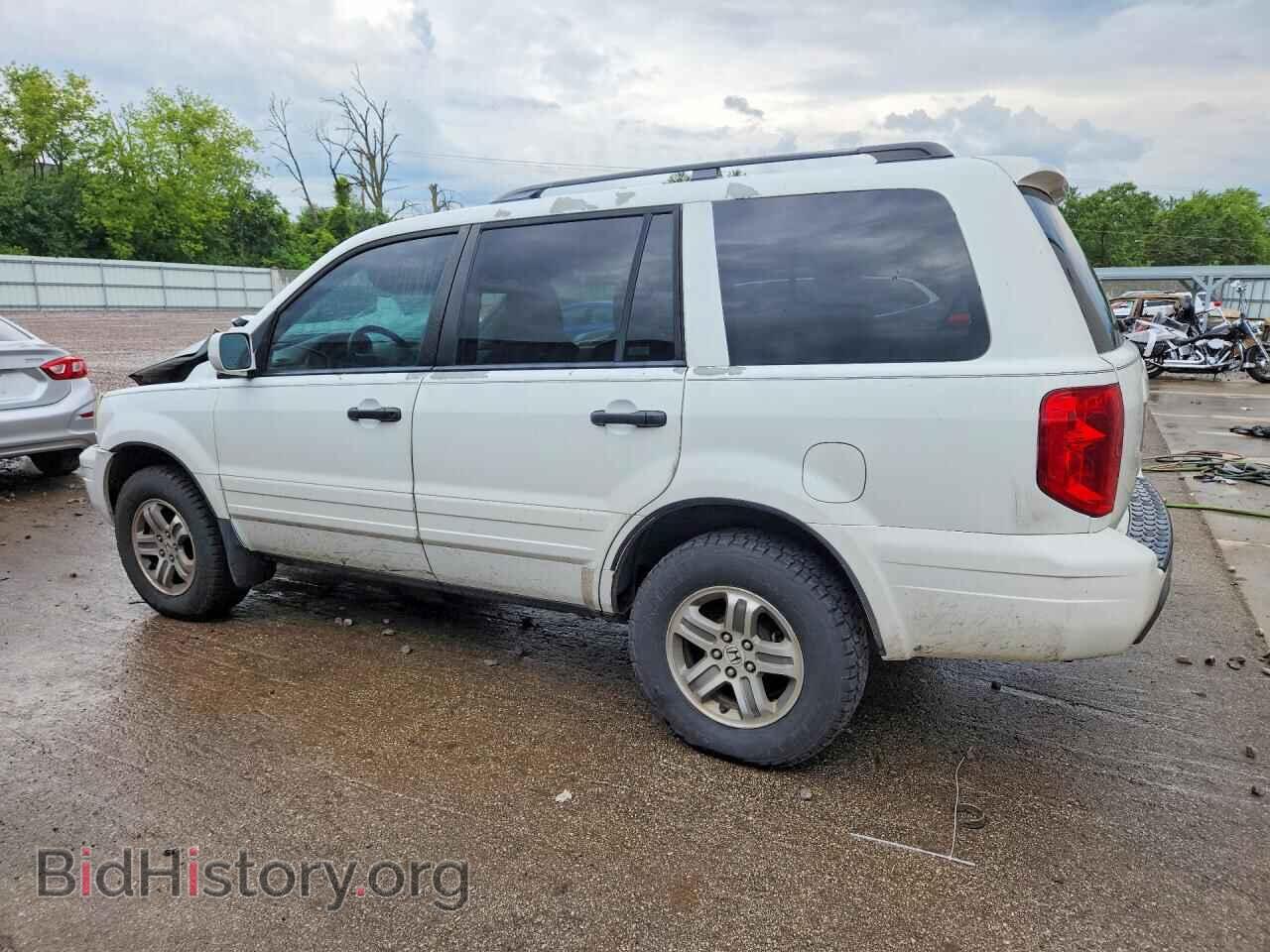 2005 HONDA PILOT - VIN: 5FNYF18695B047388 - Фото 2