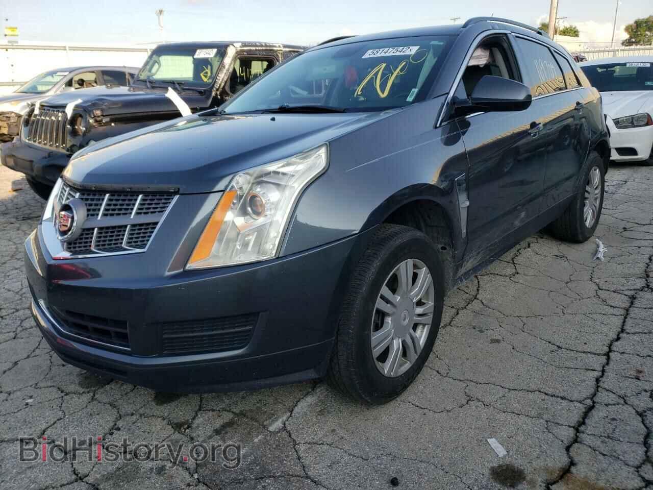 2010 CADILLAC SRX - VIN: 3GYFNGEY5AS519102 - Фото 2