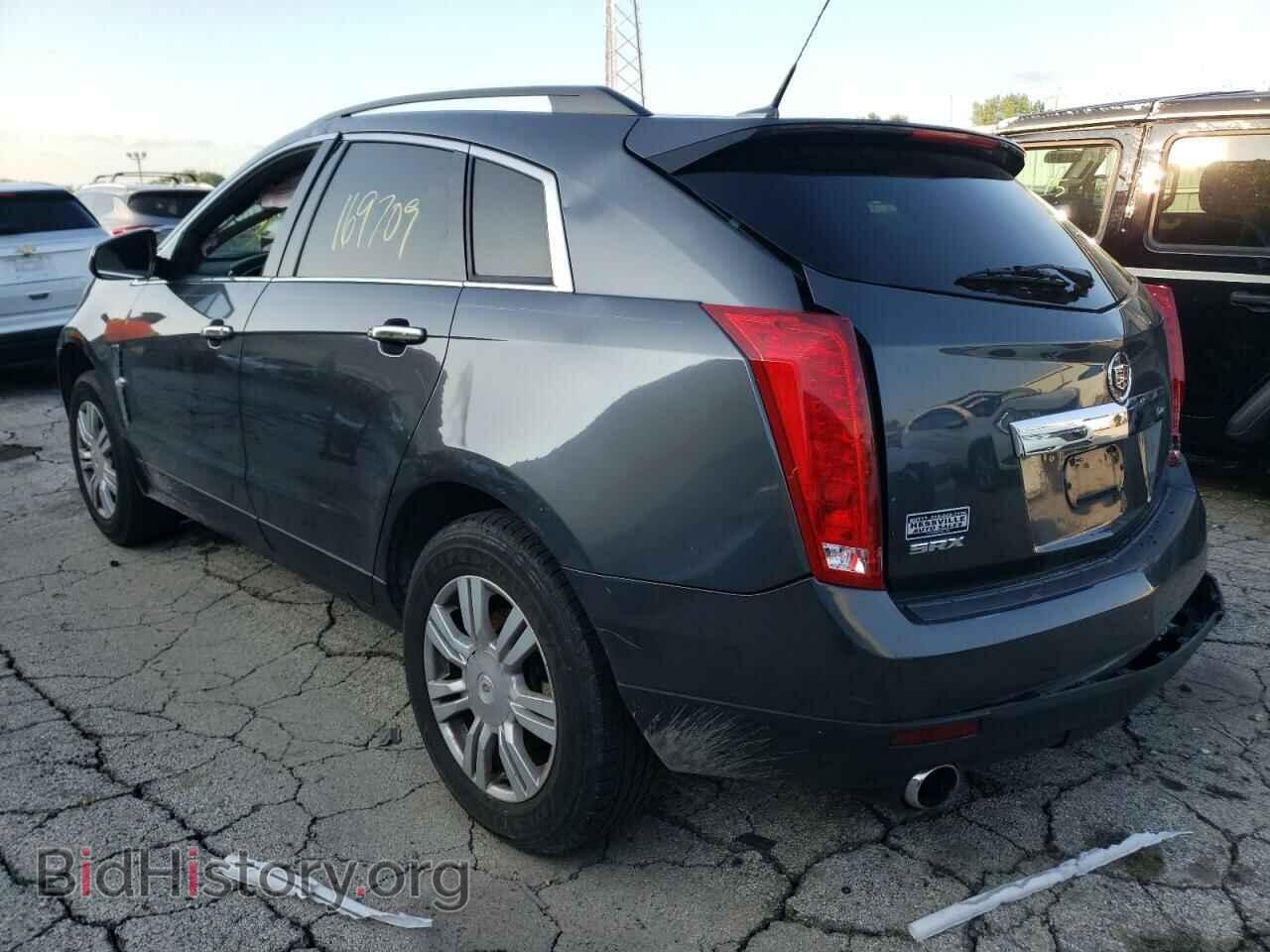 2010 CADILLAC SRX - VIN: 3GYFNGEY5AS519102 - Фото 3