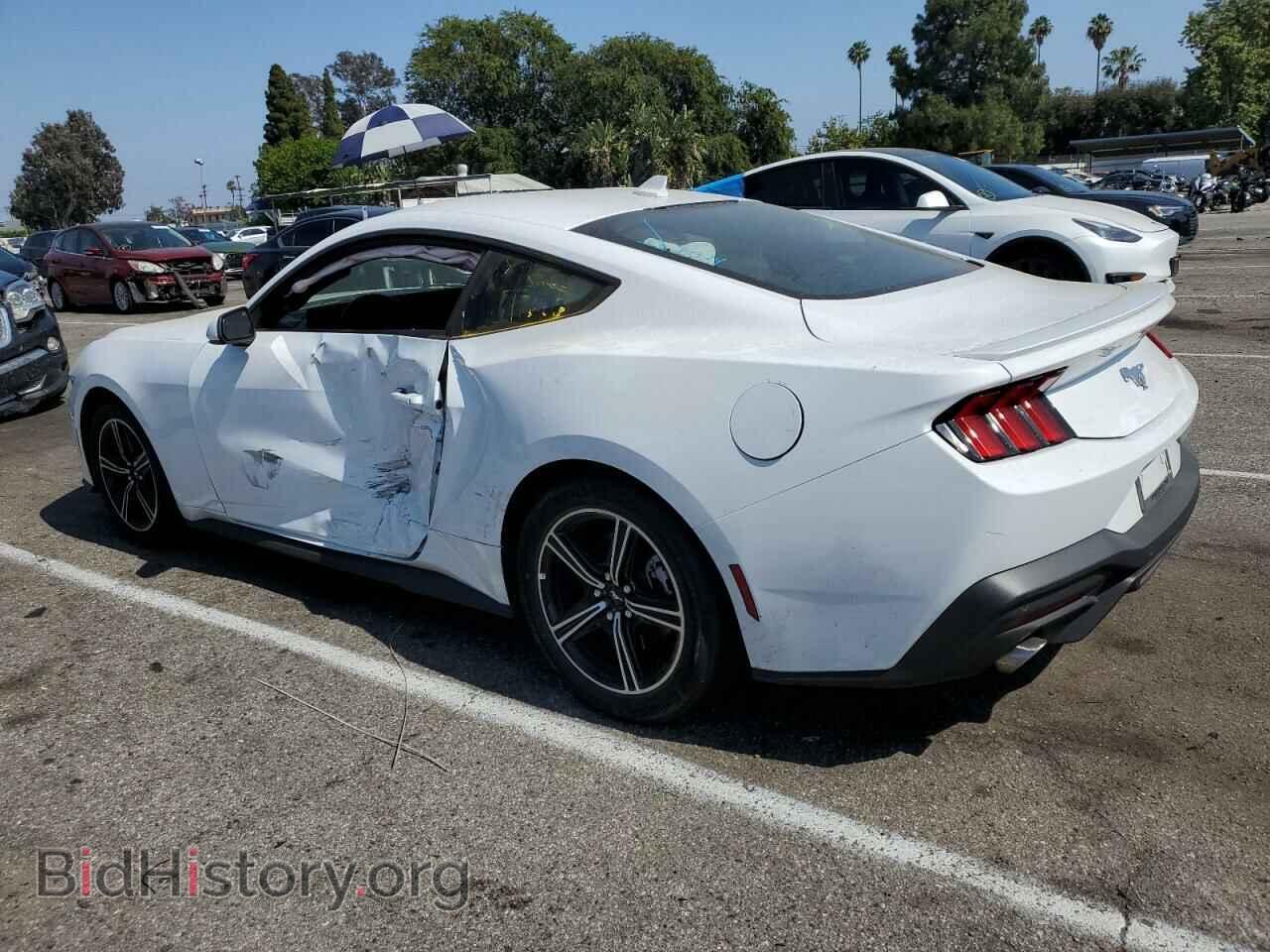 2024 FORD ALL Models - VIN: 1FA6P8TH3R5122511 - Фото 2