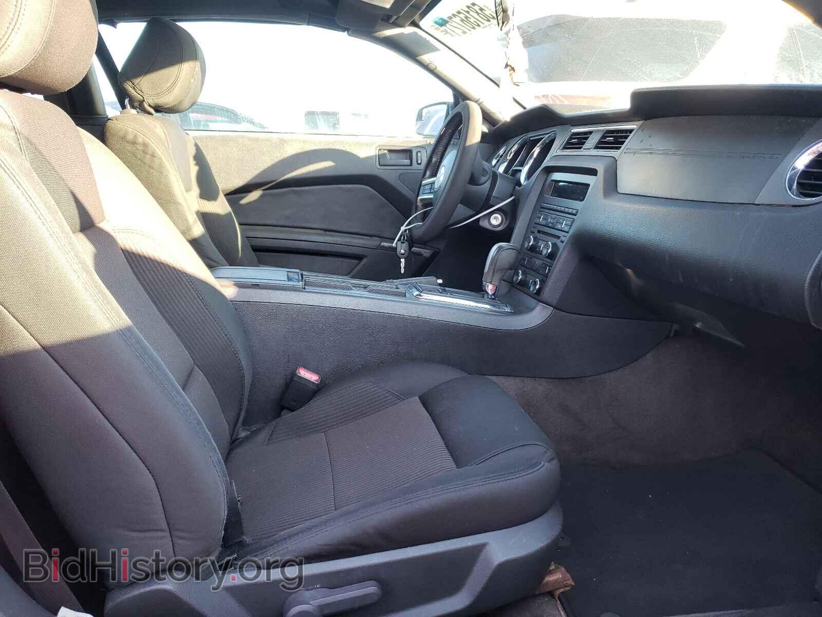 2013 FORD MUSTANG - VIN: 1ZVBP8EM1D5269922 - Фото 5