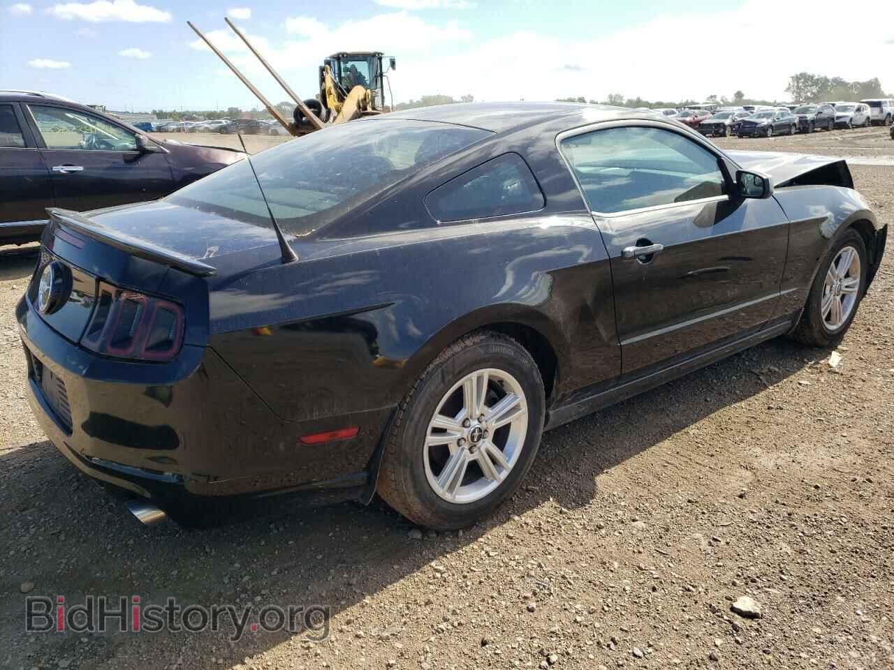 2013 FORD ALL Models - VIN: 1ZVBP8AM8D5202210 - Фото 3