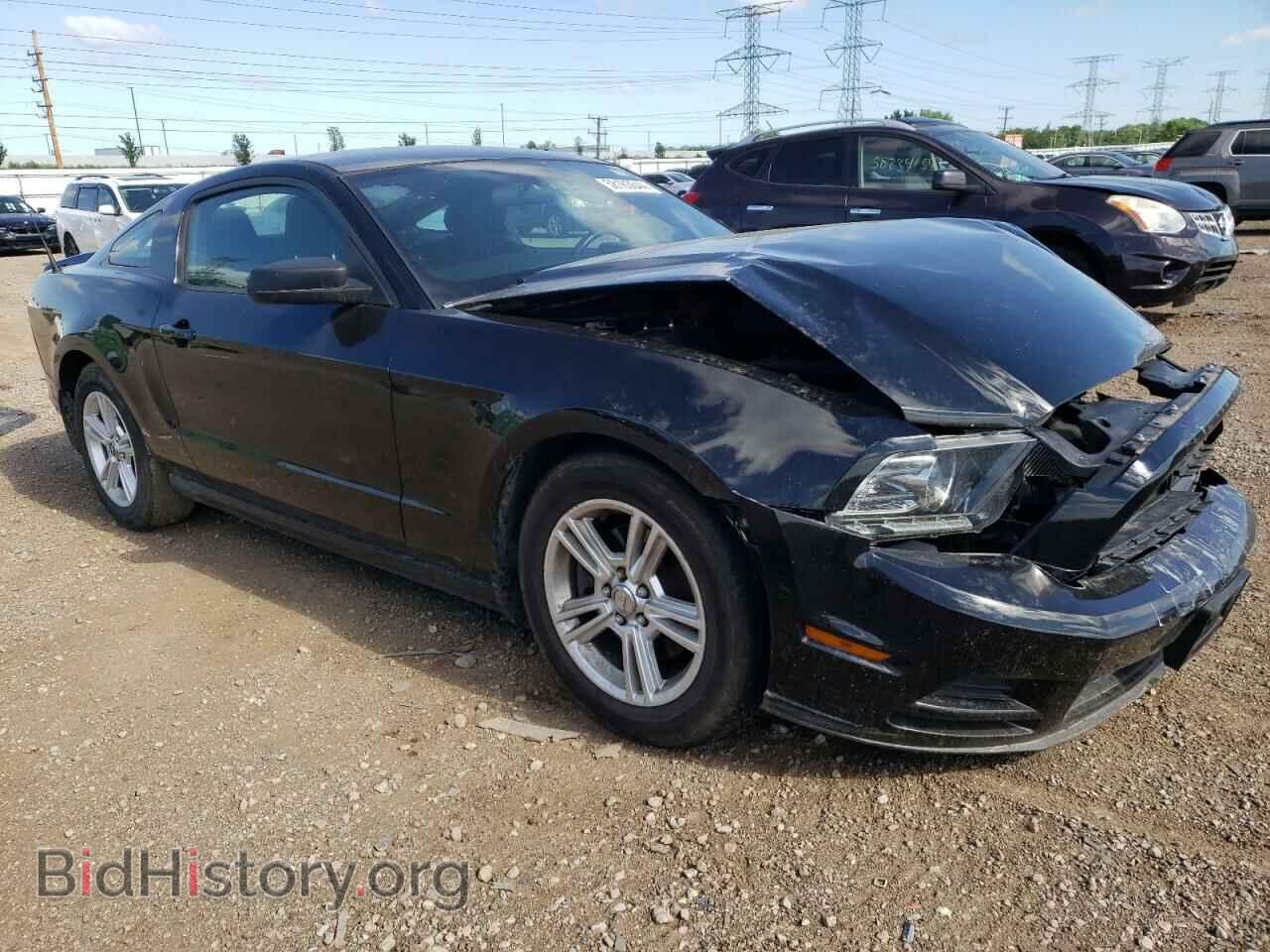 2013 FORD ALL Models - VIN: 1ZVBP8AM8D5202210 - Фото 4