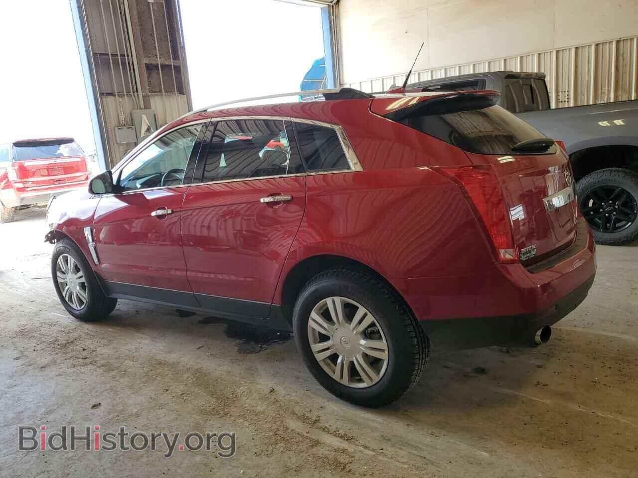 2010 CADILLAC SRX - VIN: 3GYFNAEY7AS613916 - Фото 2