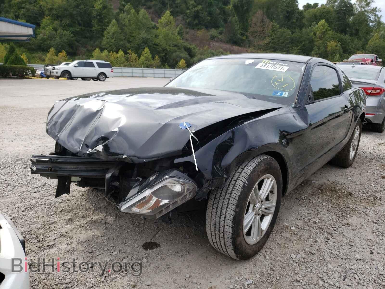 2012 FORD MUSTANG - VIN: 1ZVBP8AMXC5239385 - Фото 2