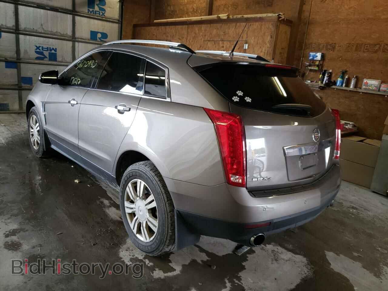 2011 CADILLAC SRX - VIN: 3GYFNDEY8BS649214 - Фото 3