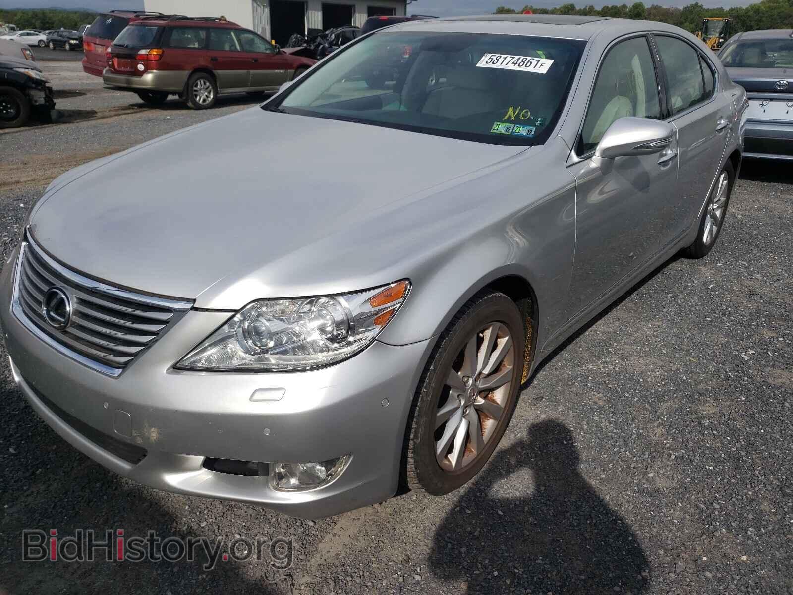2010 LEXUS LS460 - VIN: JTHCL5EF1A5004964 - Фото 2