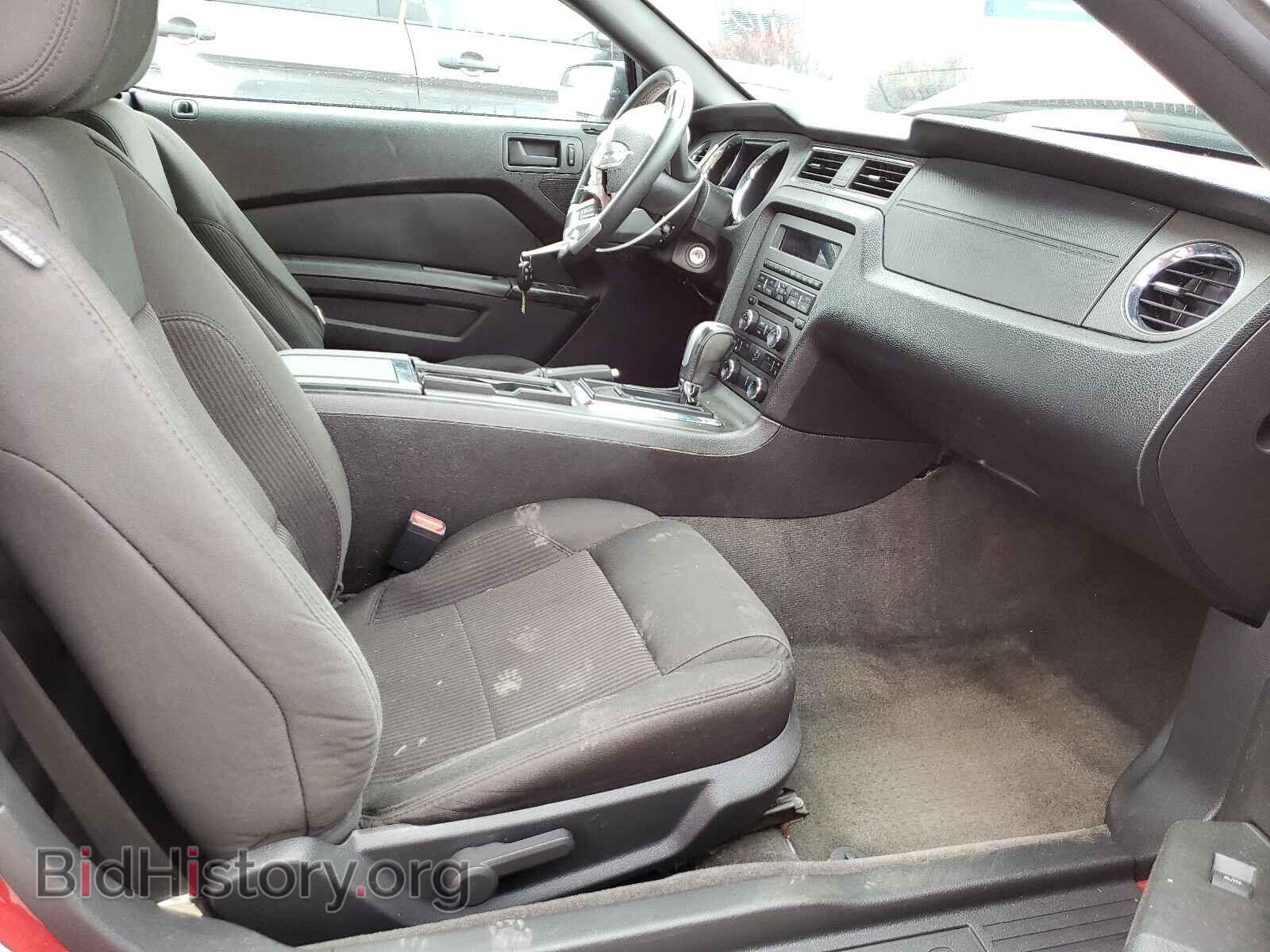 2013 FORD MUSTANG - VIN: 1ZVBP8EM8D5214349 - Фото 5