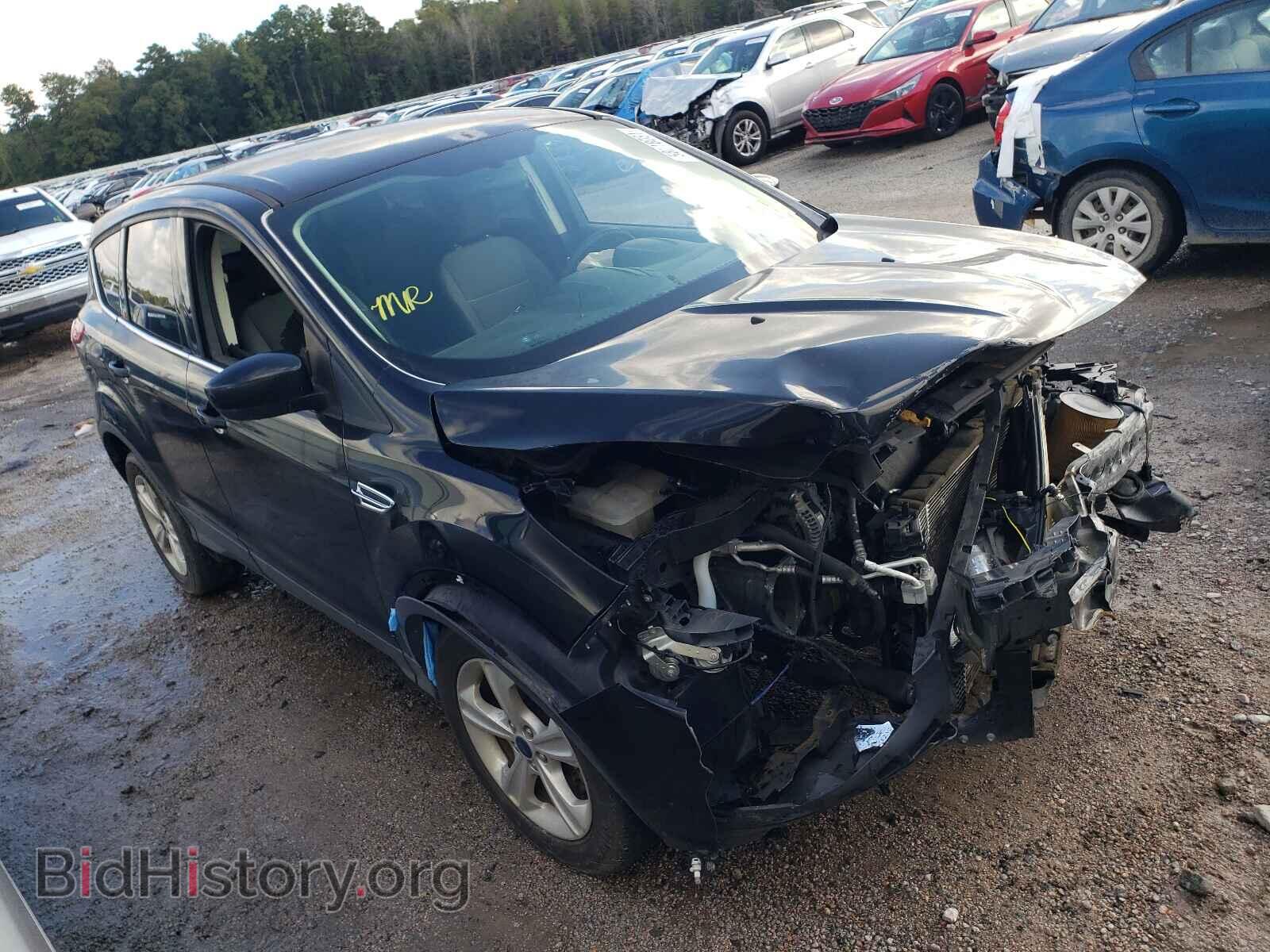 Фотография 1FMCU0GX2EUB66259 - FORD ESCAPE 2014