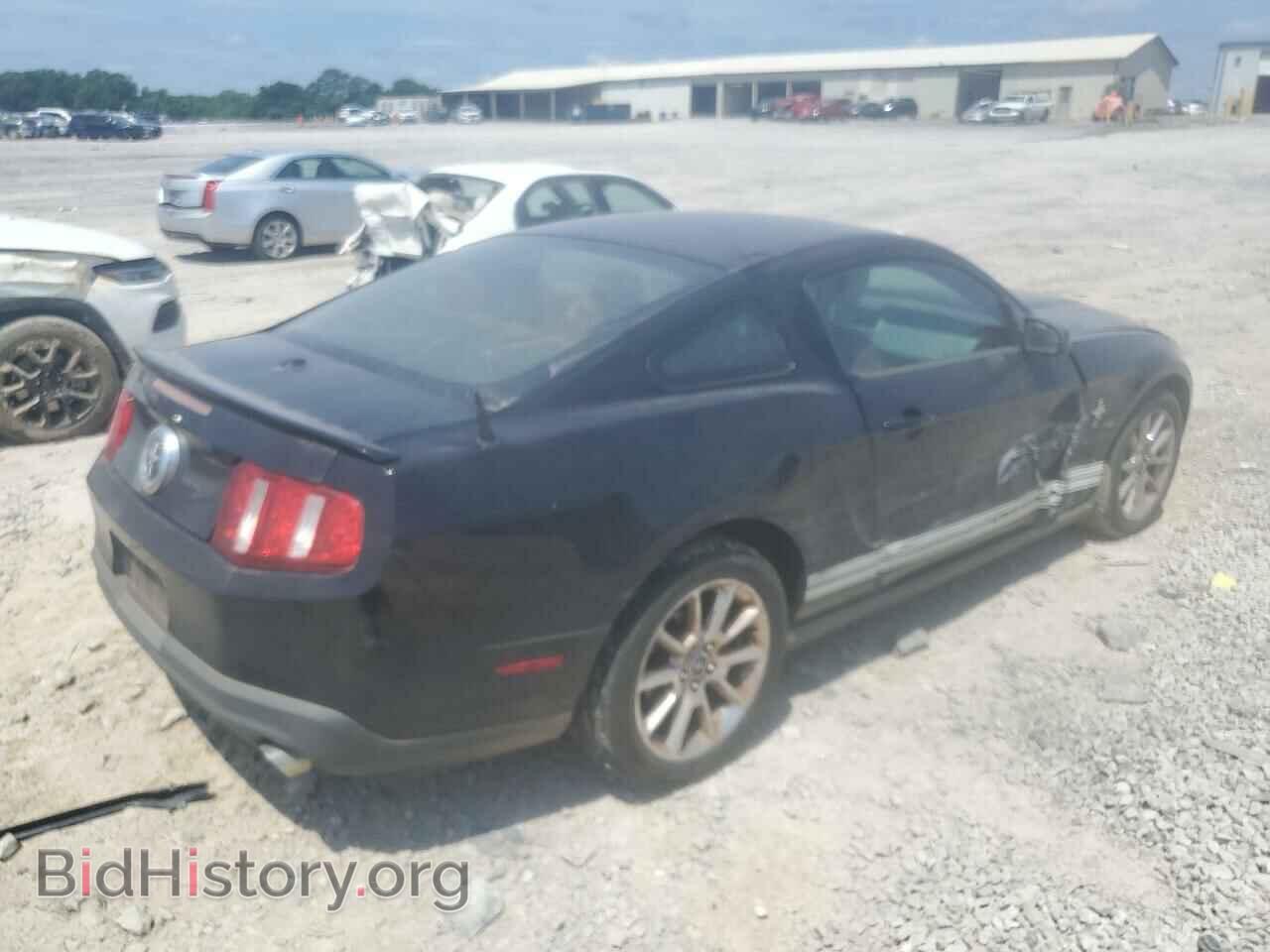 2011 FORD ALL Models - VIN: 1ZVBP8AM4B5102800 - Фото 3