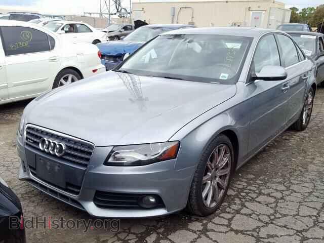 2010 AUDI A4 - VIN: WAUHFAFL8AN057346 - Фото 2