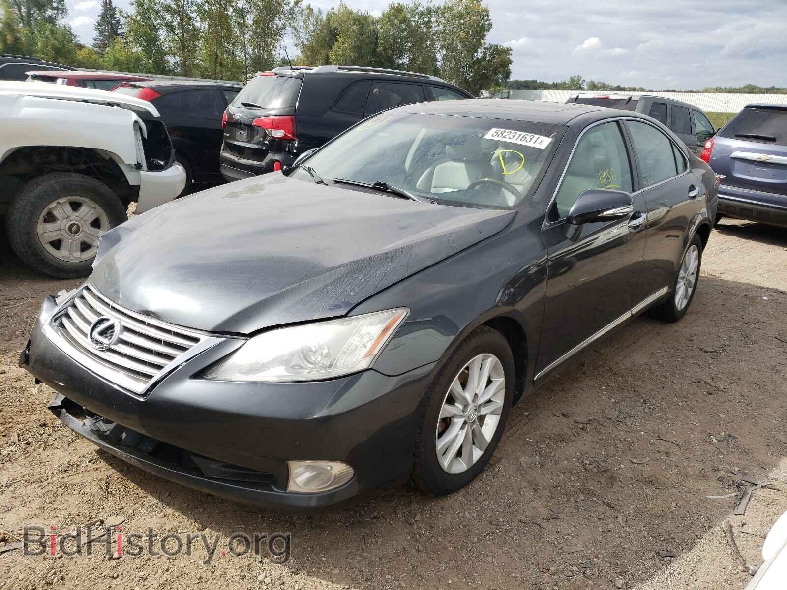 2010 LEXUS ES350 - VIN: JTHBK1EG8A2398951 - Фото 2