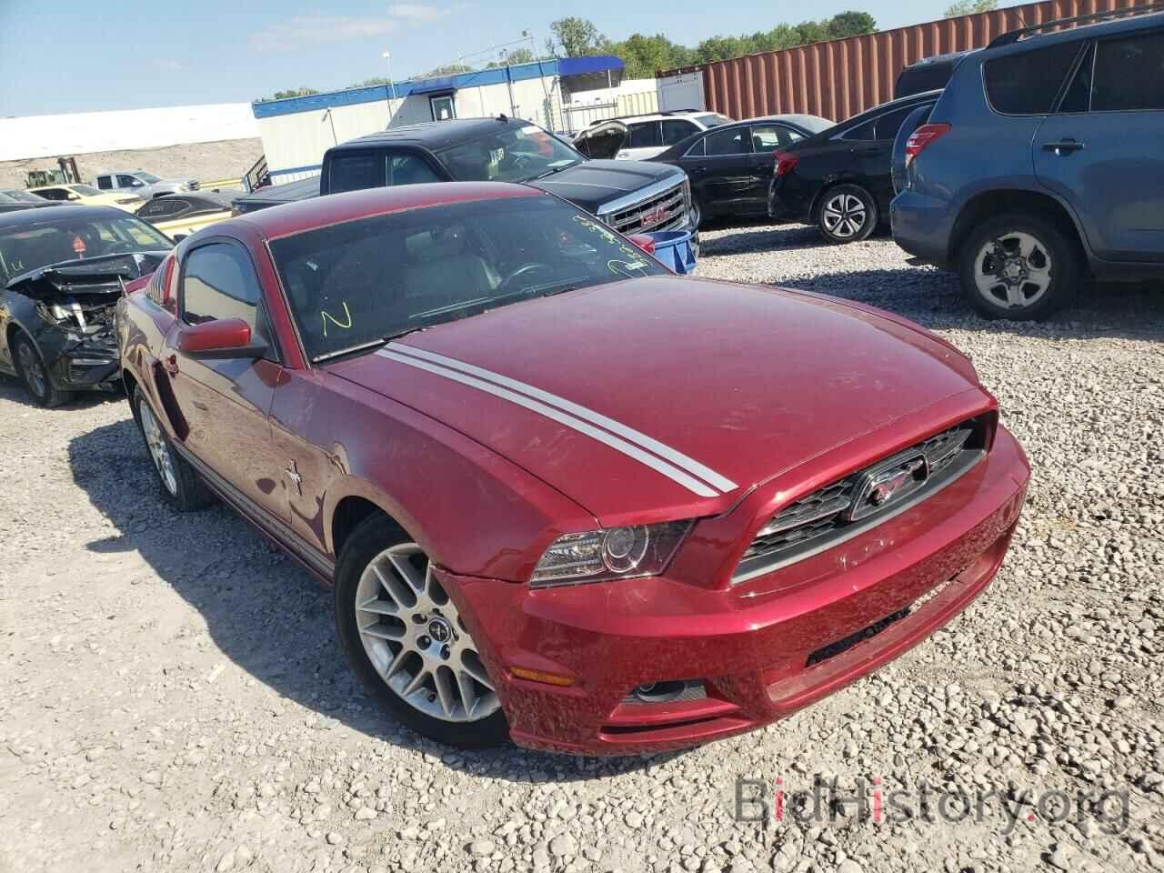 Photo 1ZVBP8AM9E5276561 - FORD MUSTANG 2014