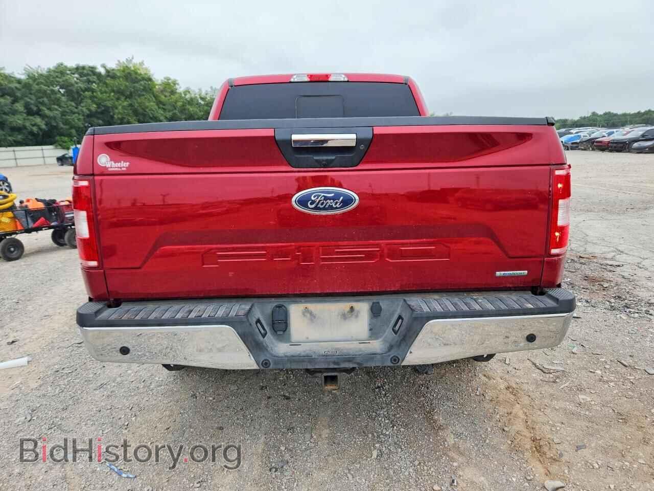 2019 FORD F150 - VIN: 1FTEW1C44KKE34261 - Фото 6