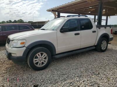 2010 Ford EXPLORER XLT, white — VIN 1FMEU3BE8AUA09314, Copart