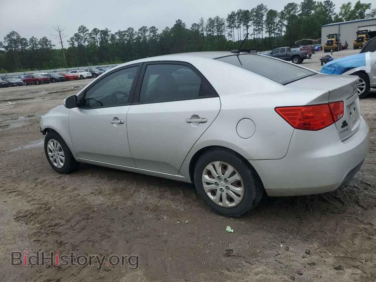 2010 KIA FORTE - VIN: KNAFU4A22A5202006 - Фото 2