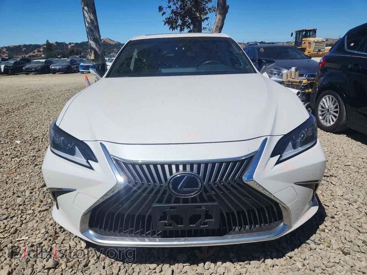 2019 LEXUS ES300 - VIN: JTHB21B17K2001280 - Фото 5