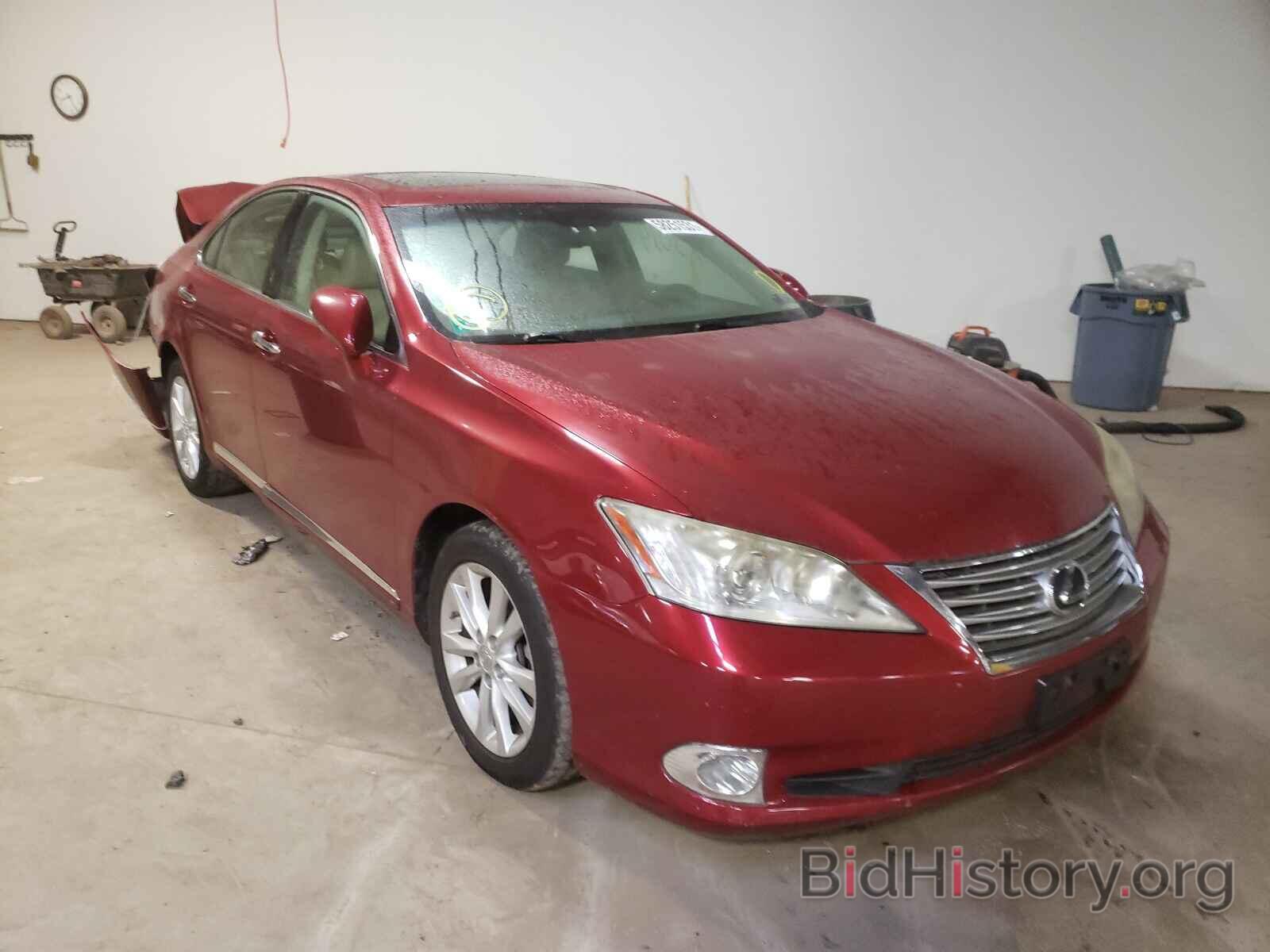 Фотография JTHBK1EG6A2399497 - LEXUS ES350 2010