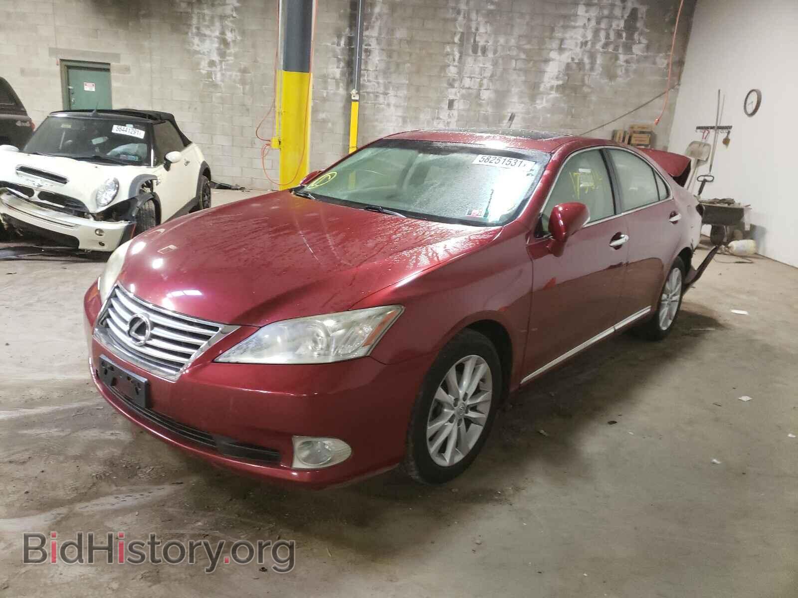 2010 LEXUS ES350 - VIN: JTHBK1EG6A2399497 - Фото 2