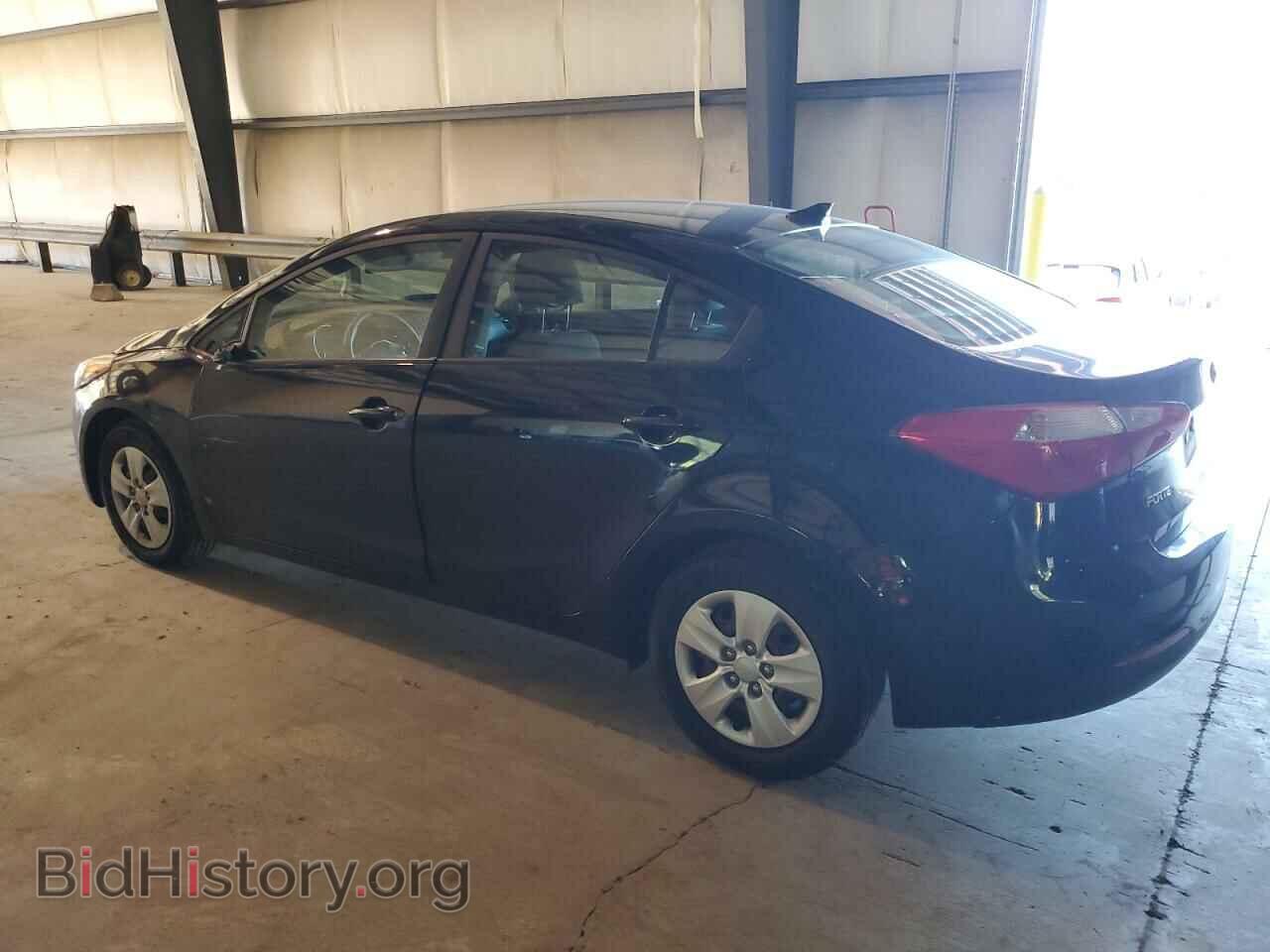 2014 KIA FORTE - VIN: KNAFK4A65E5224774 - Фото 2
