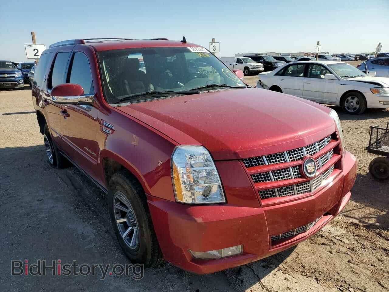Photo 1GYS4CEF3DR317181 - CADILLAC ESCALADE 2013