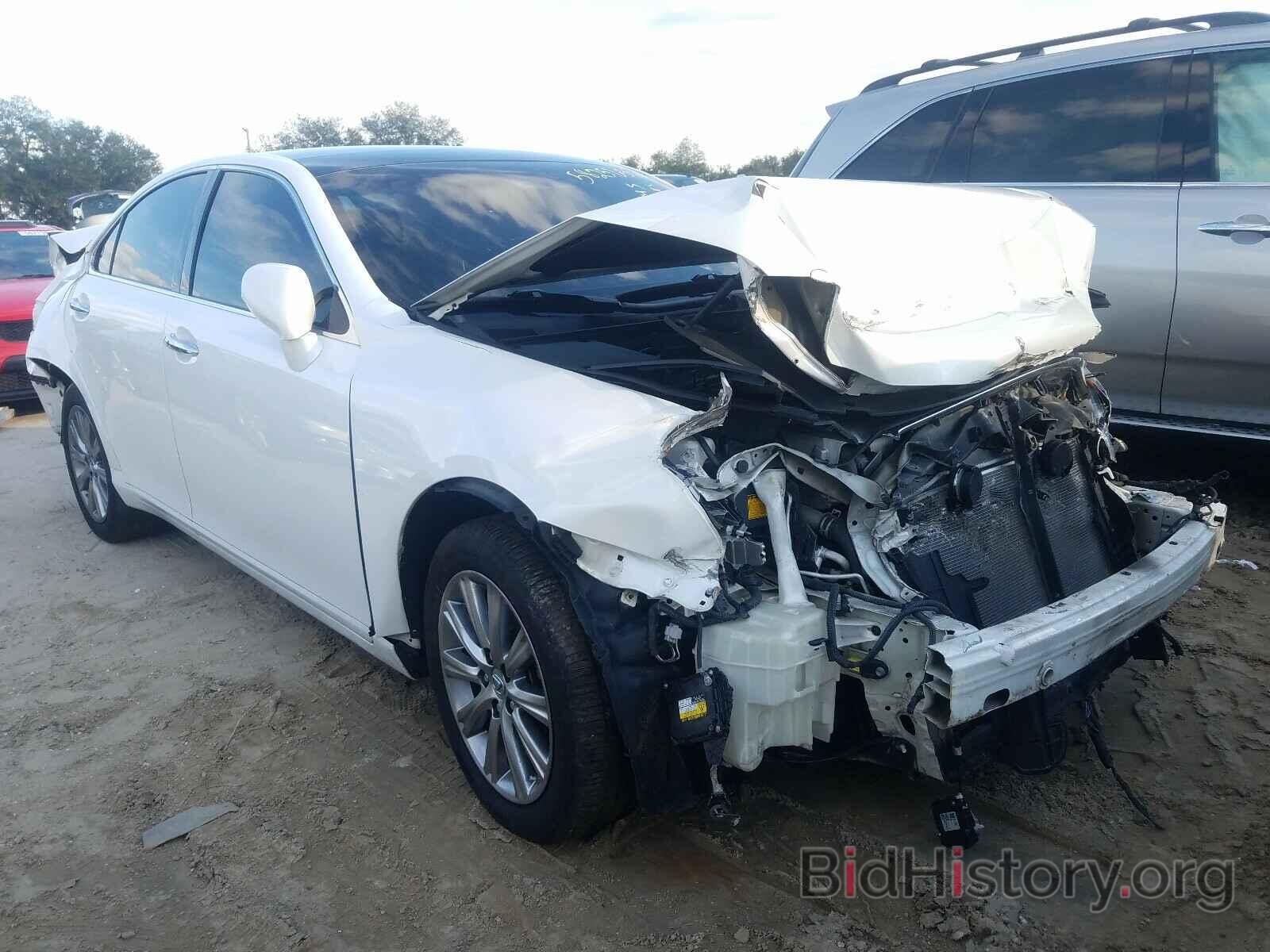 Photo JTHBJ46G182174188 - LEXUS ES350 2008