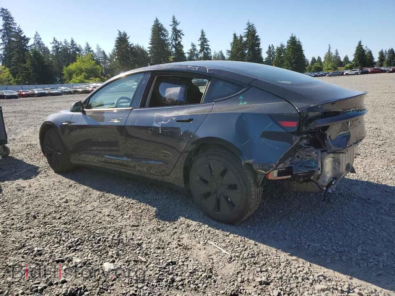 2024 TESLA MODEL 3 - VIN: 5YJ3E1EA1RF868125 - Фото 2