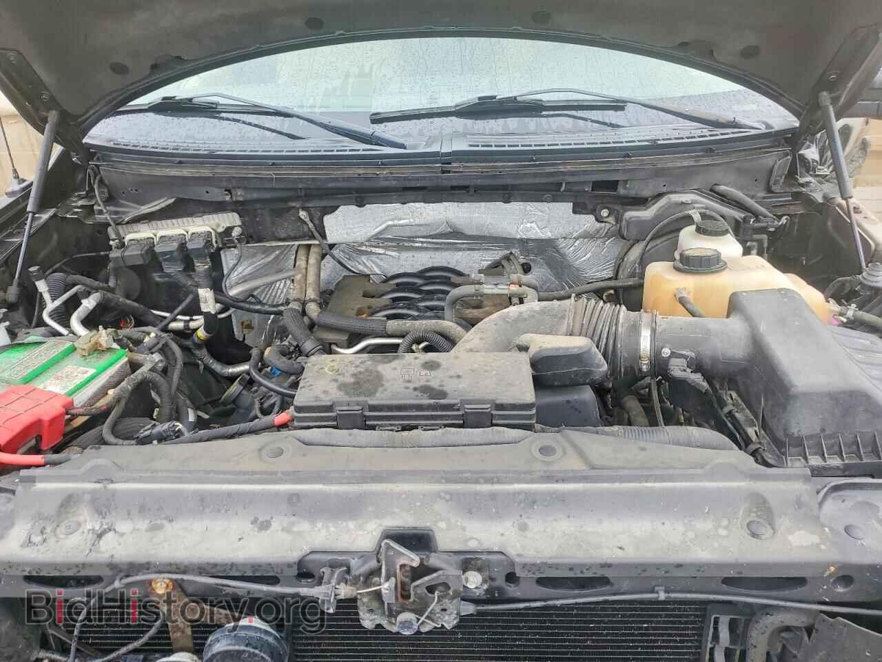 2011 FORD F150 - VIN: 1FTFW1EF7BFA37865 - Фото 11